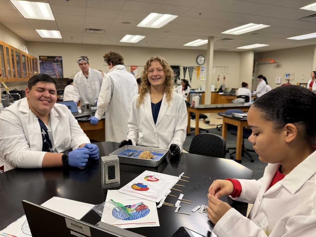 Brain Dissection in Biomedical Science Academy-AM