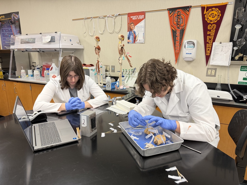 Brain Dissection in Biomedical Science Academy-PM