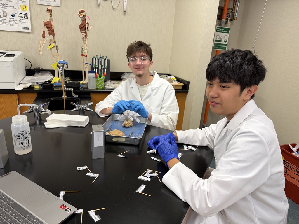 Brain Dissection in Biomedical Science Academy-PM