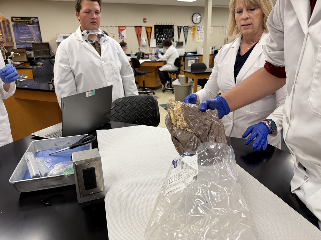 Sheep Pluck Exploration