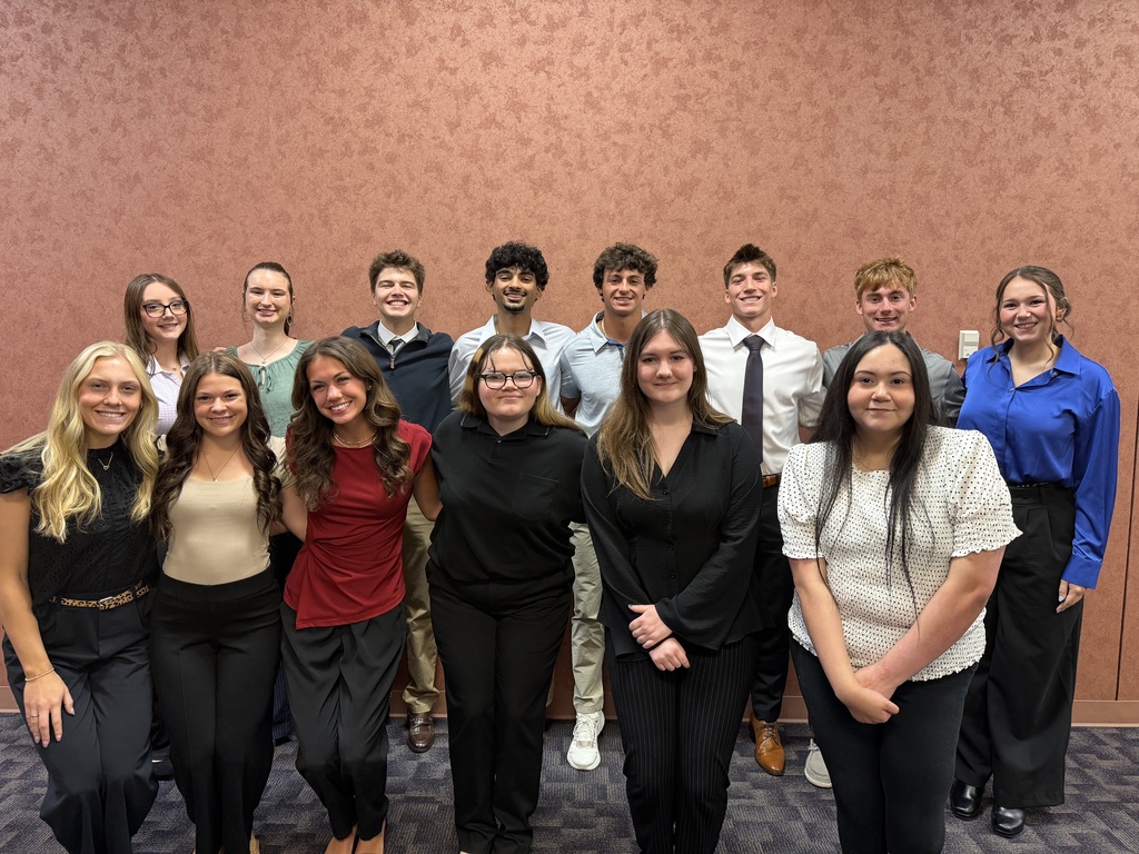 Sr. Capstones