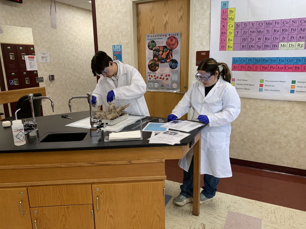 Biomed Pig Autopsy-PM