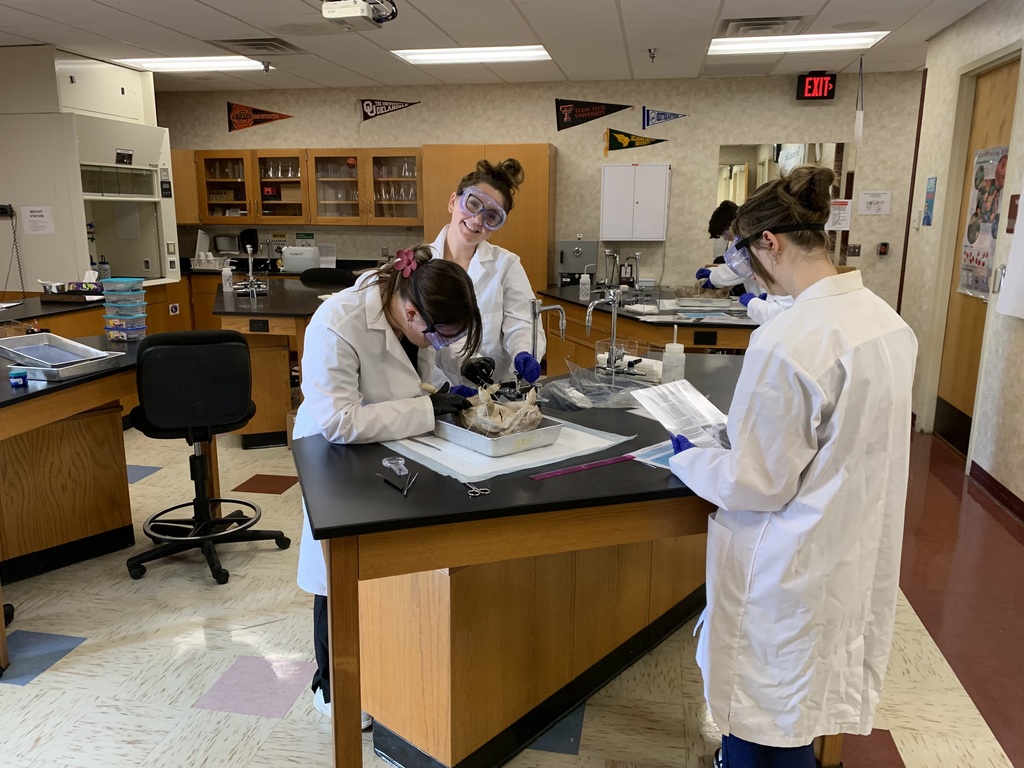 Biomed Pig Autopsy-PM