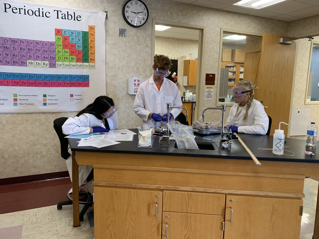 Biomed Pig Autopsy-AM