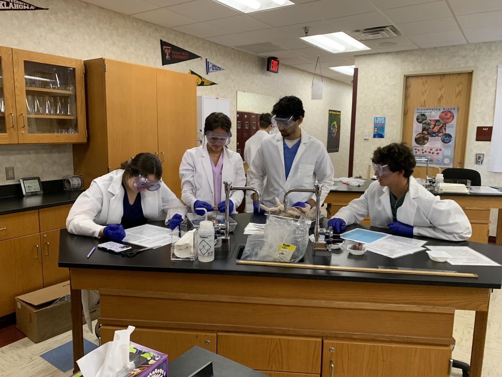 Biomed Pig Autopsy-AM
