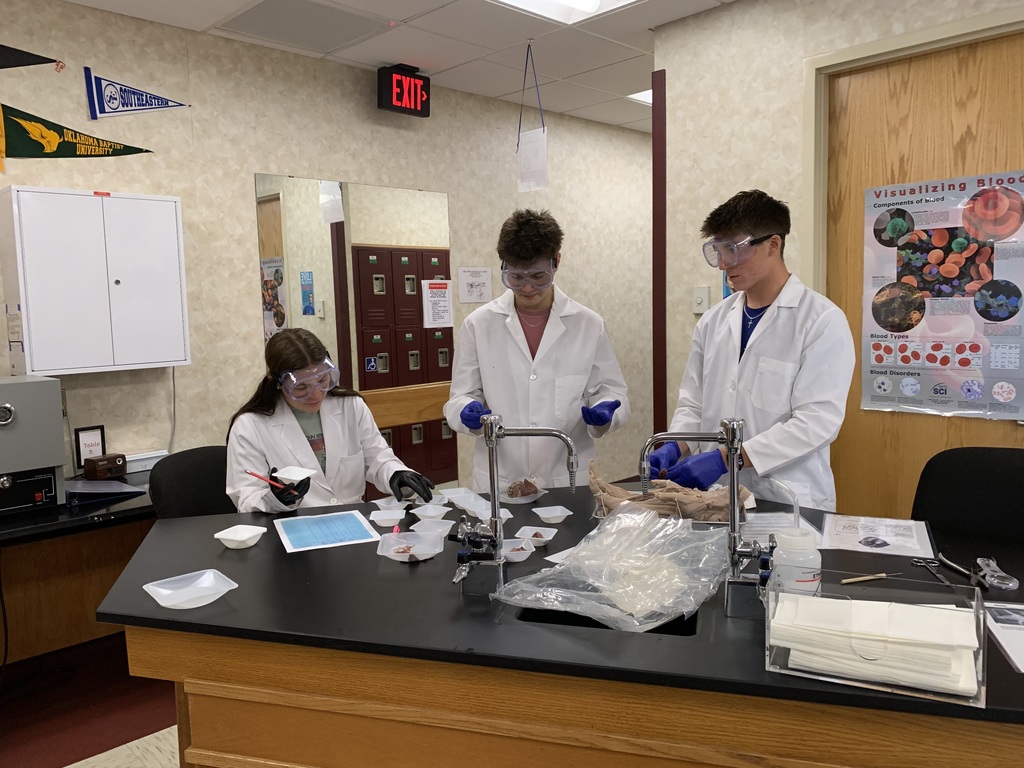Biomed Pig Autopsy-AM