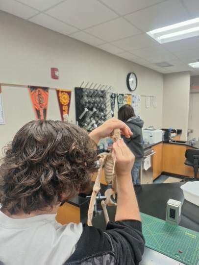 Biomed students cleaning manikin models