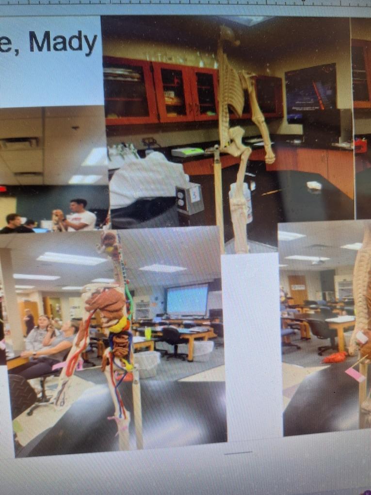 Biomed students cleaning manikin models