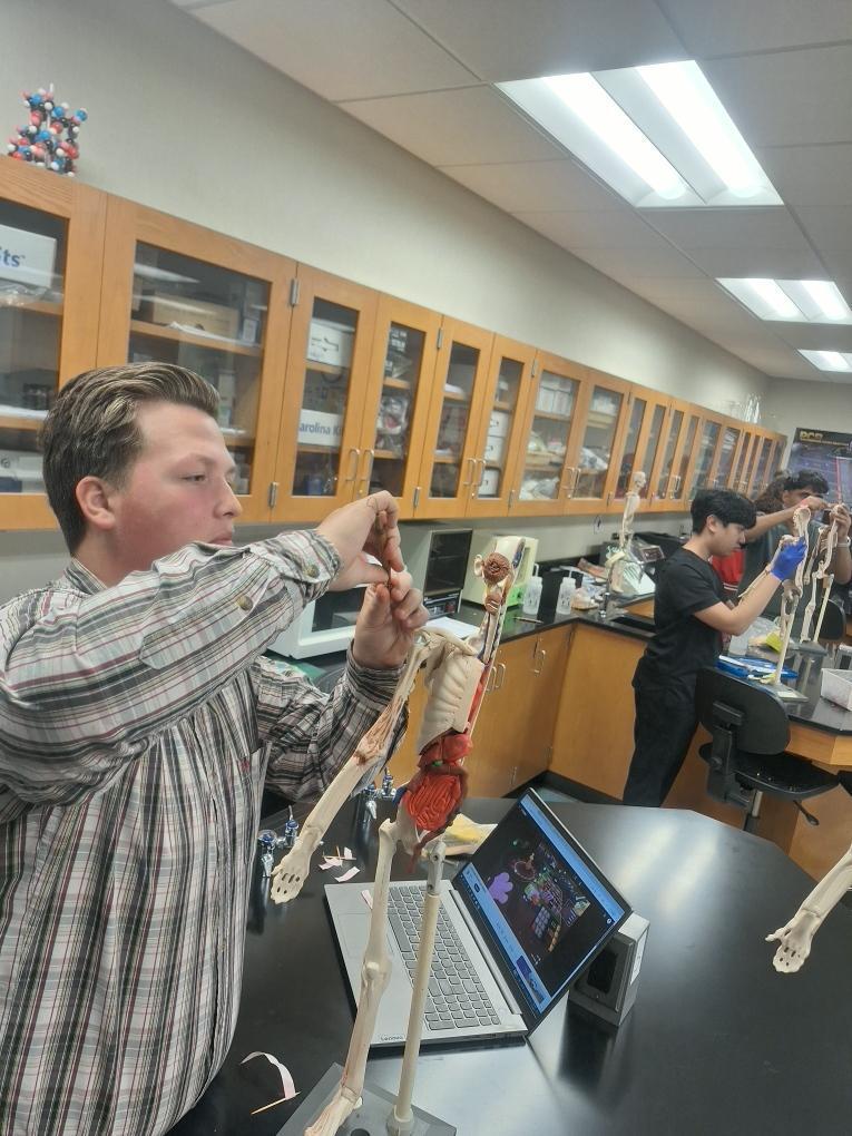 Biomed students cleaning manikin models