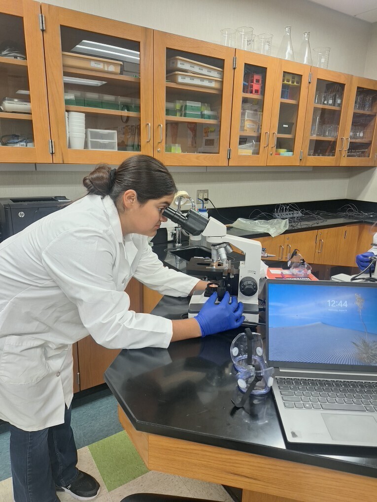 Biomed Juniors analyzing evidence