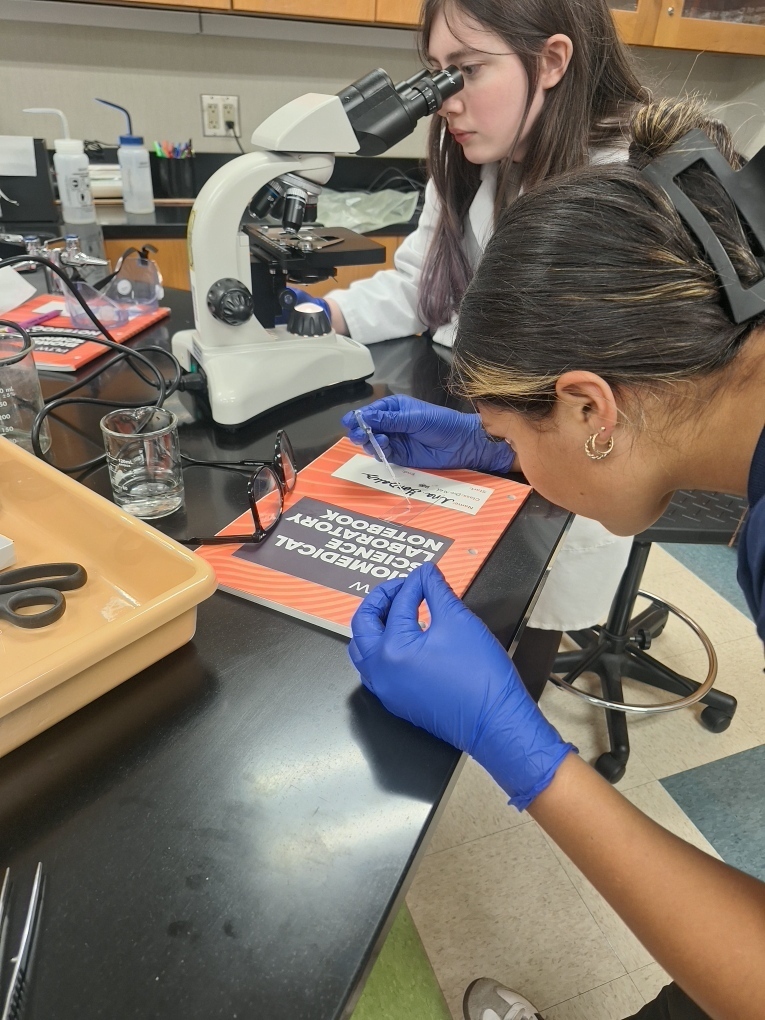 Biomed Juniors analyzing evidence