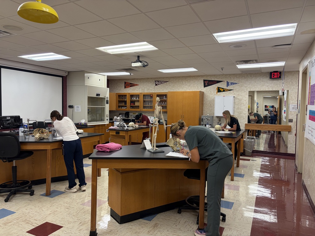 Biomed Bones and Landmarks Test