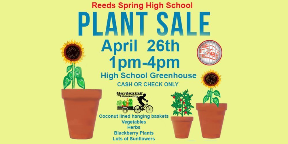 3 pots with sunflowers in them and the words Plant sale