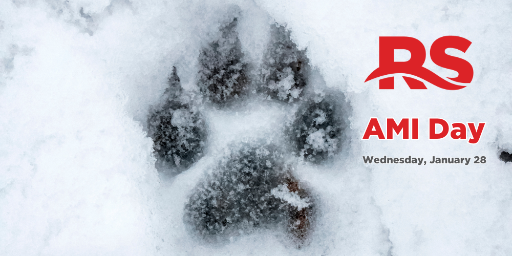 wolf paw in the snow