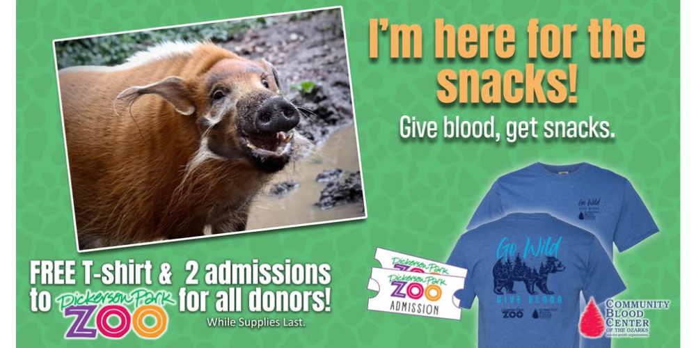 blood drive flyer