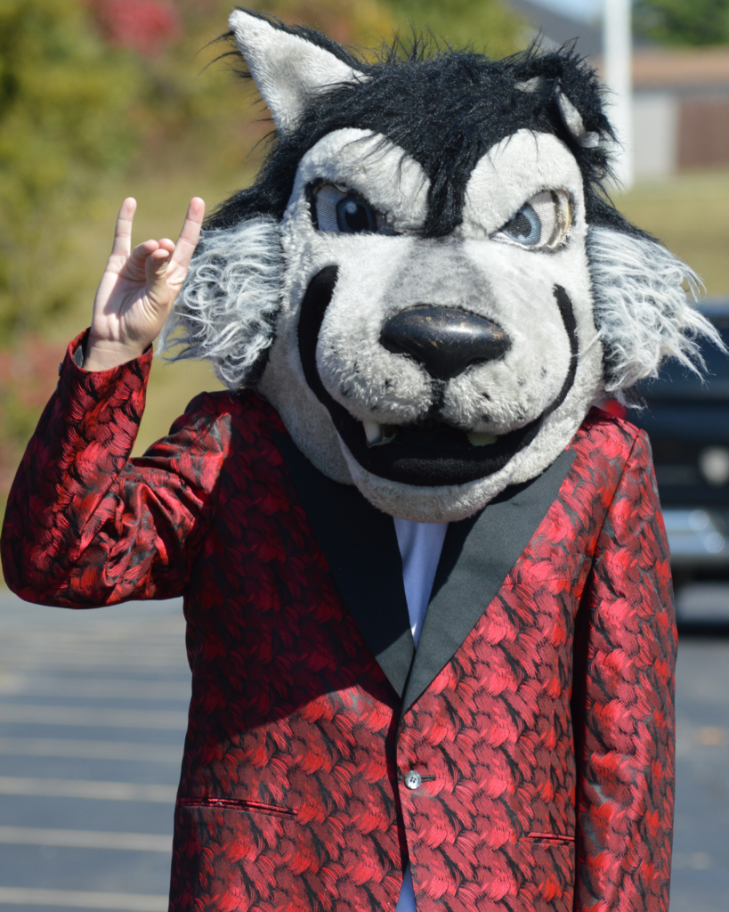 Wolf Mascot