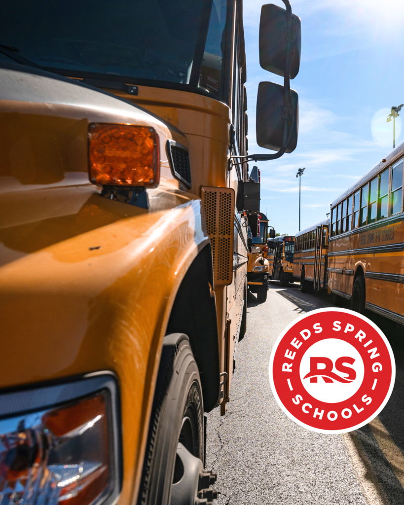 buses