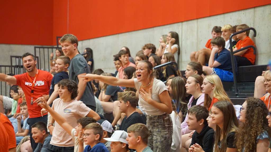 MS assembly