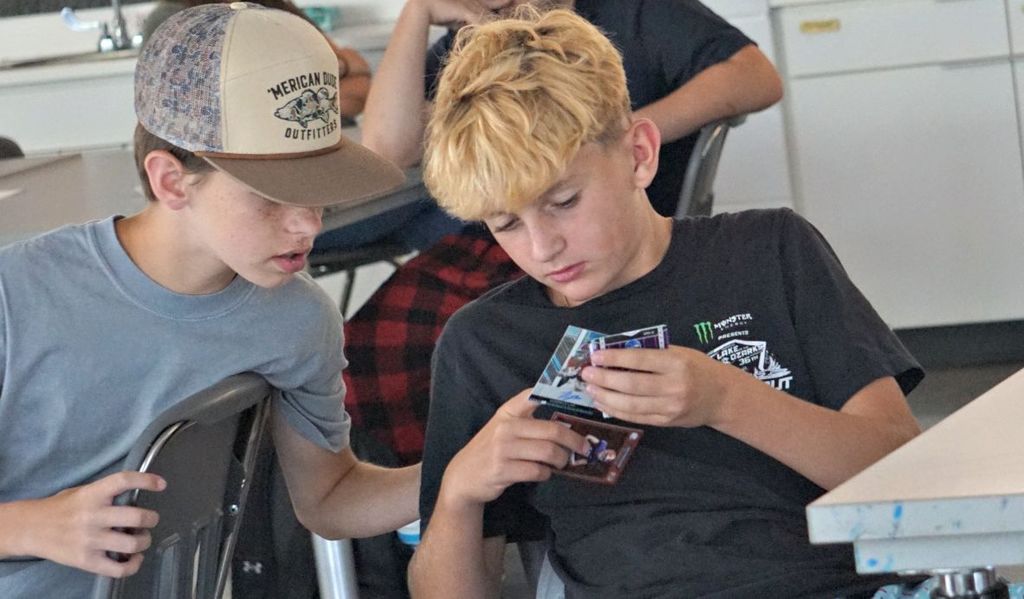 looking at cards