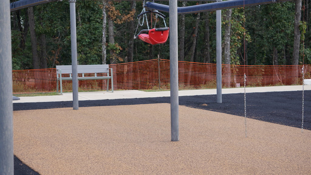 accessible zipline
