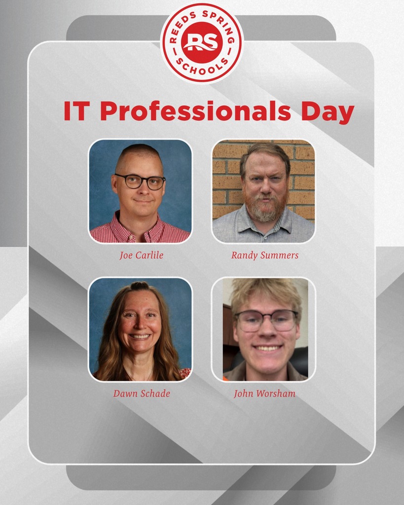 IT professionals