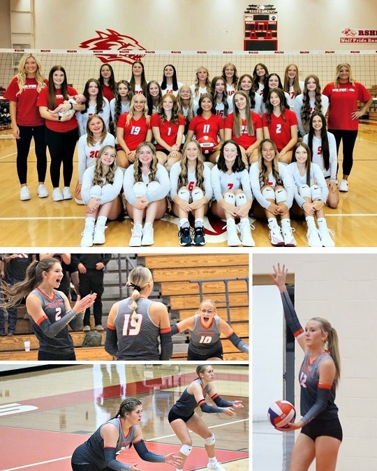 volleyball collage