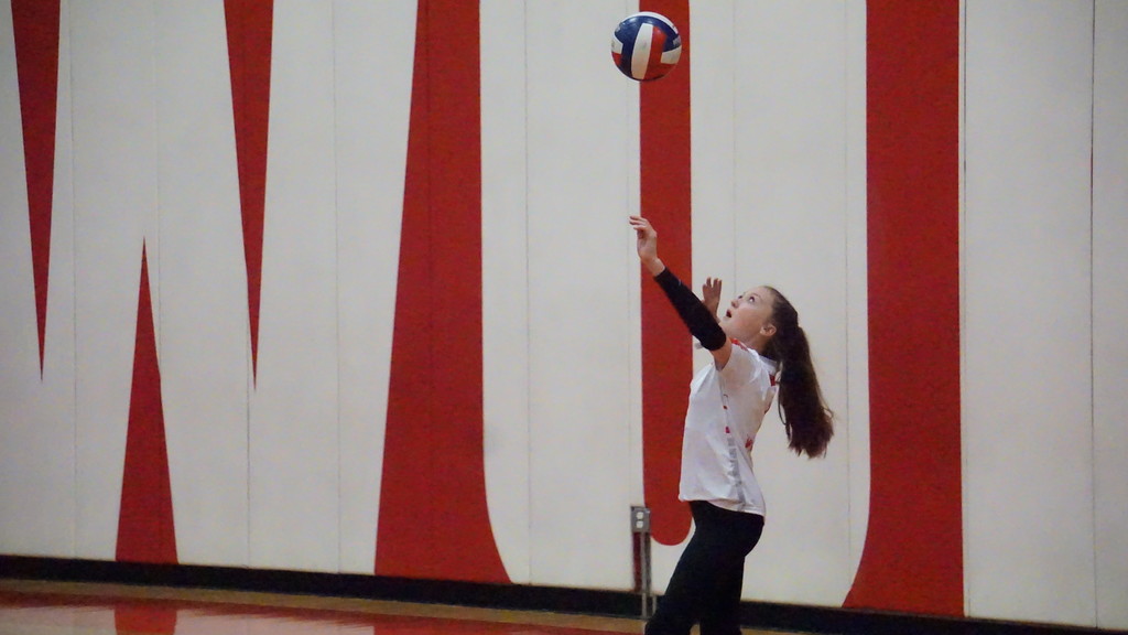 reynolds serving