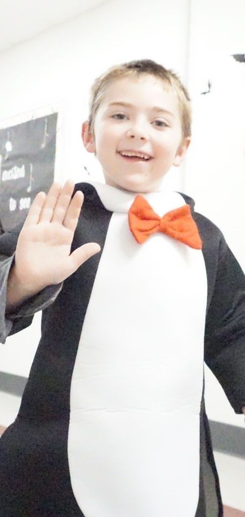 penguin costume