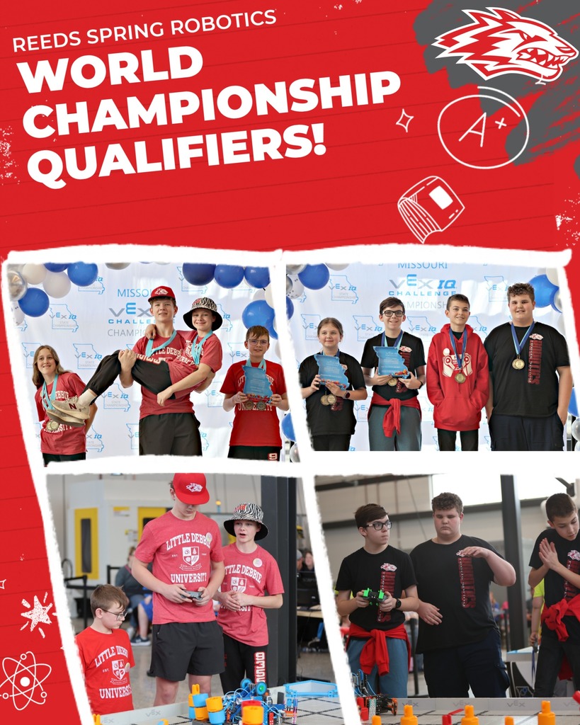 Two teams posing with trophies