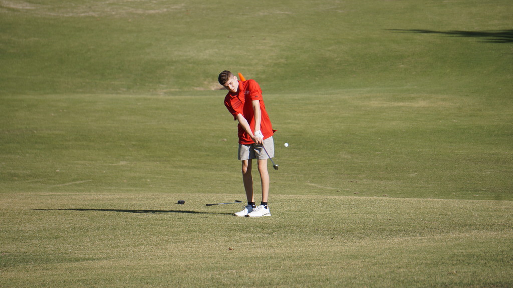 Houston Hodges chipping