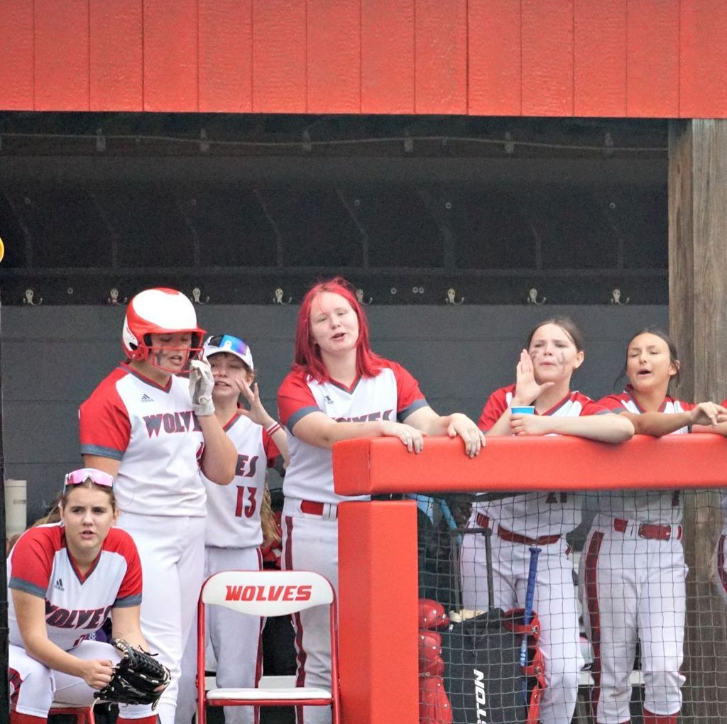 players cheering from the dugout
