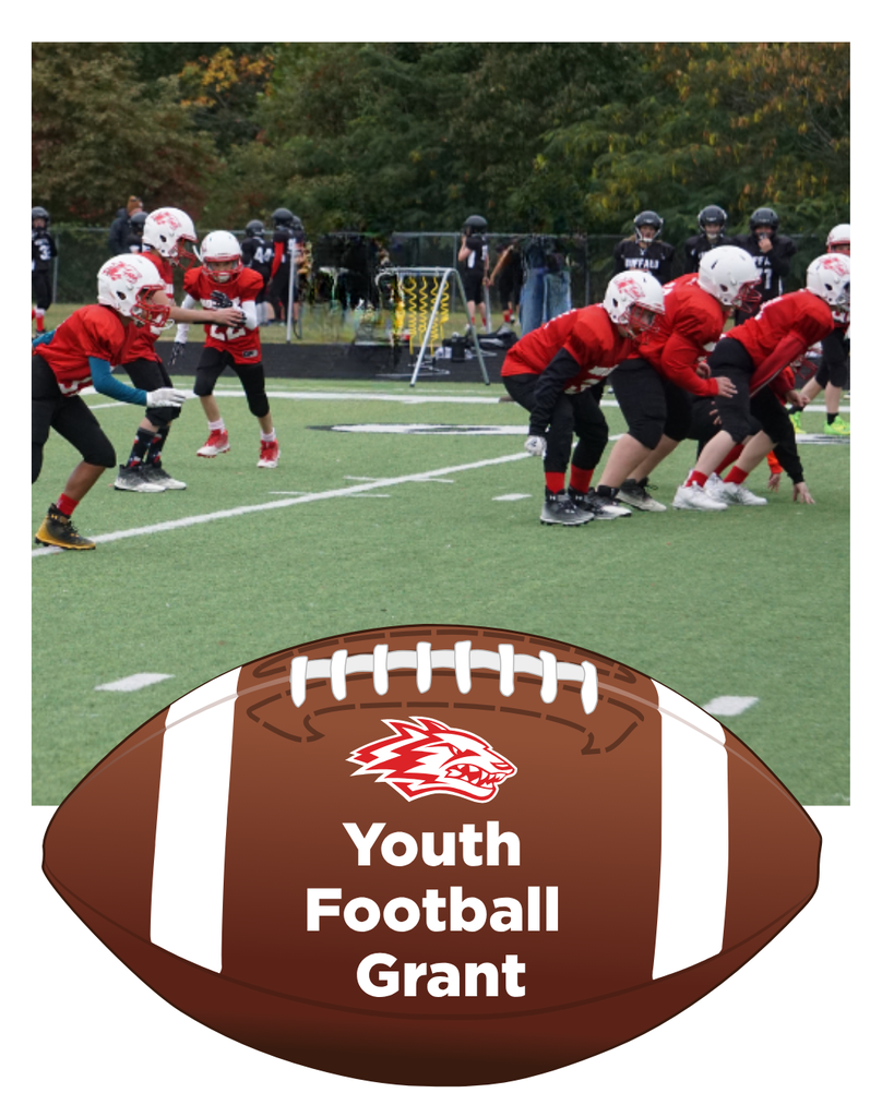 youth football players with words Youth Football Grant