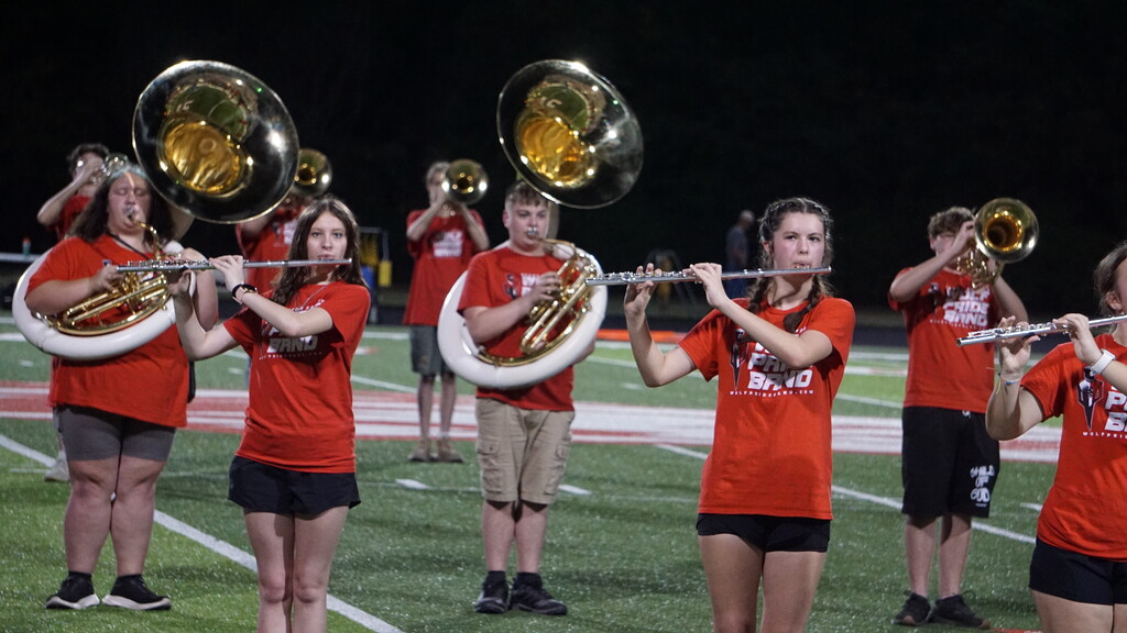 Band members performing on the field