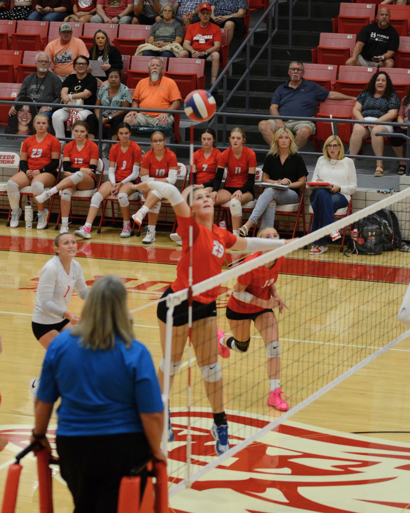 Adi spiking the volleyball