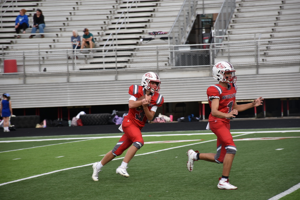 Running back carries the ball.