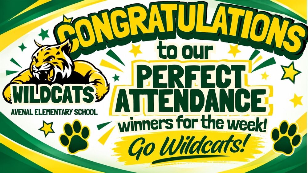 aes perfect attendance banner