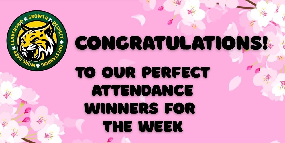 aes perfect attendance banner