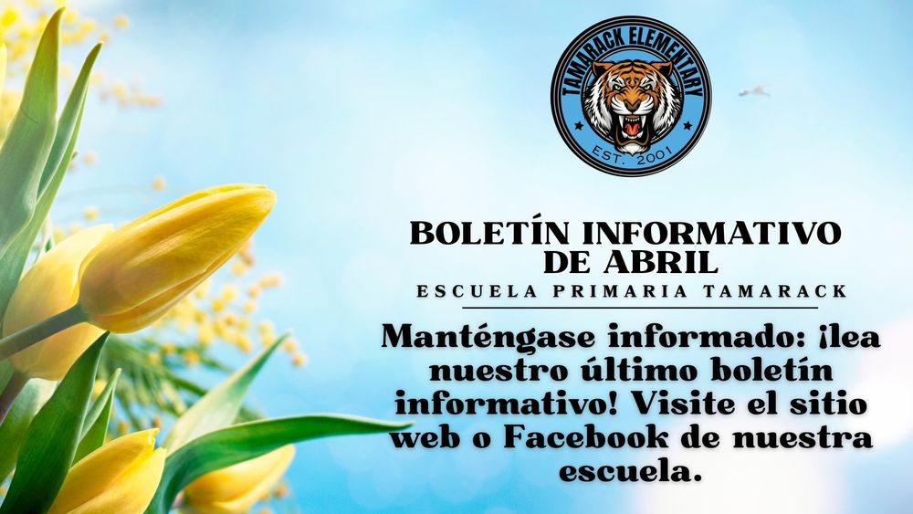 TES newsletter banner