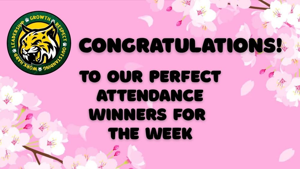 aes perfect attendance banner