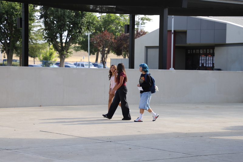 rsms students on campus