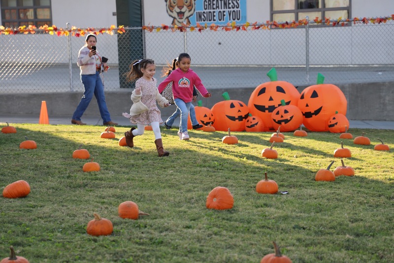 TES Students at pumpkin patch