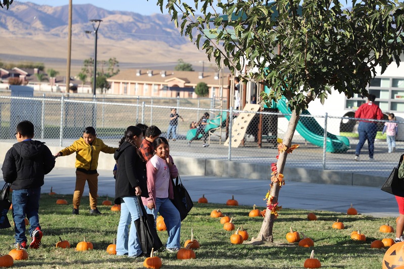 TES Students at pumpkin patch