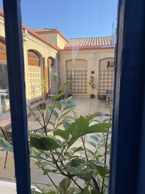 window view of The Wellness Cove new space