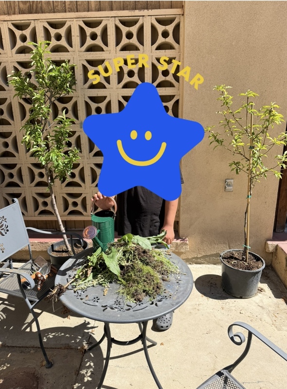 ahs student gardening in The Wellness Cove