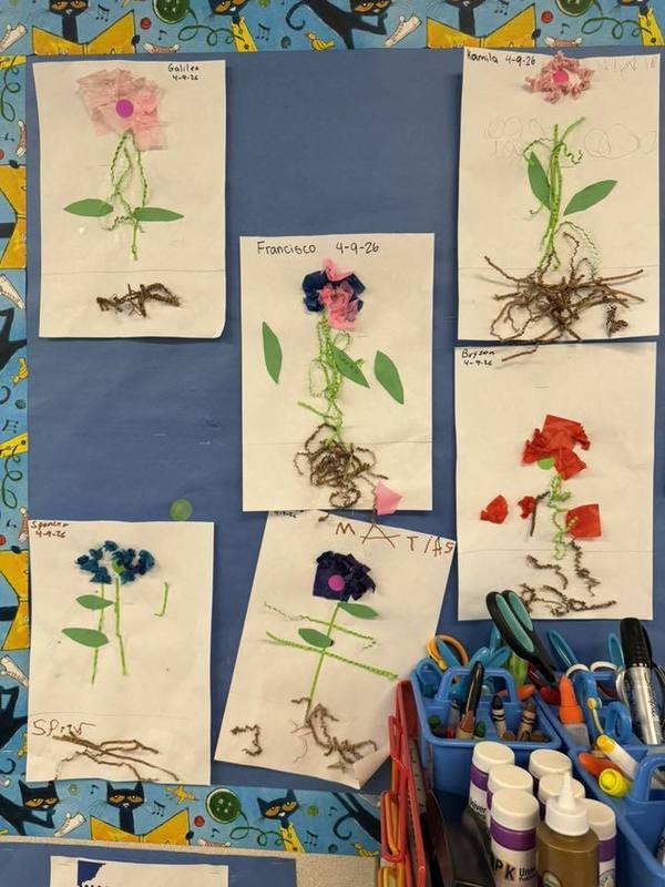 student projects on wall
