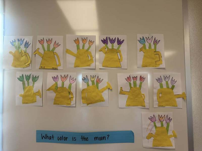 student projects on wall