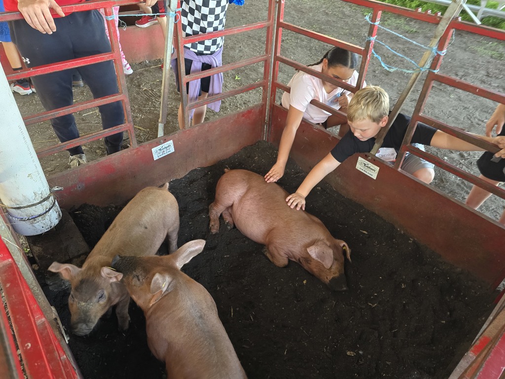 Pigs from Tuscola Tech Center