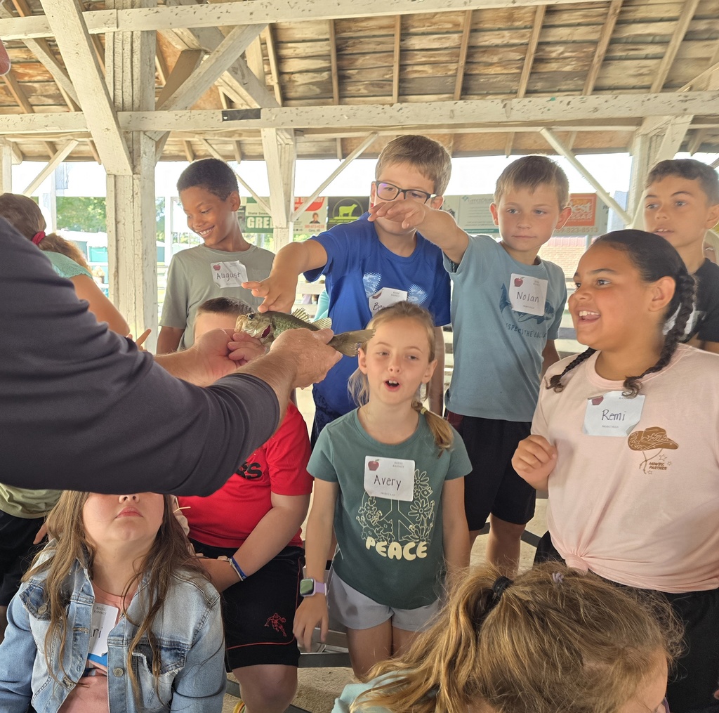 fish from Michigan Conservation 
