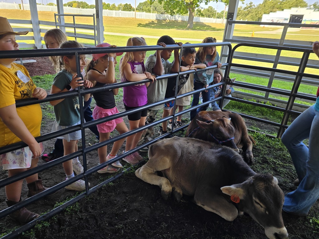 Cows from Tuscola Tech Center