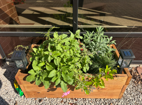 garden courtyard